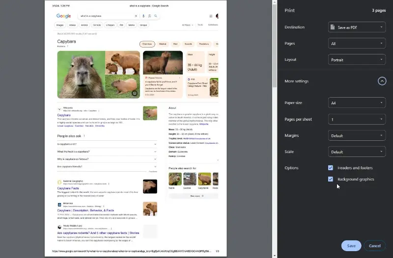 Turn HTML into PDF in Google Chrome Turn HTML into PDF in Google Chrome
